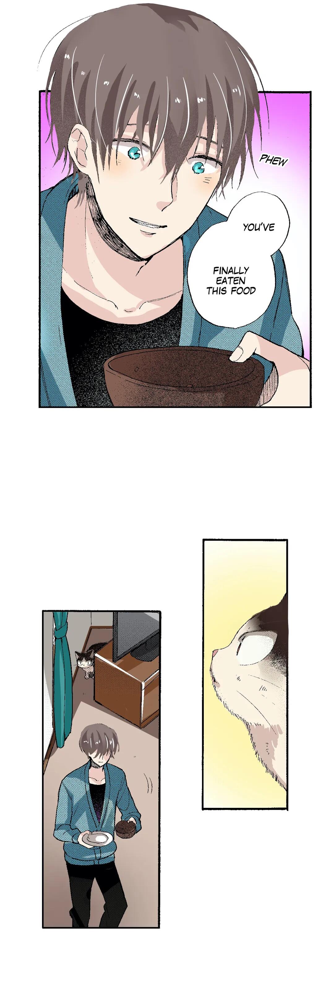 Page 13 of Chapter 53