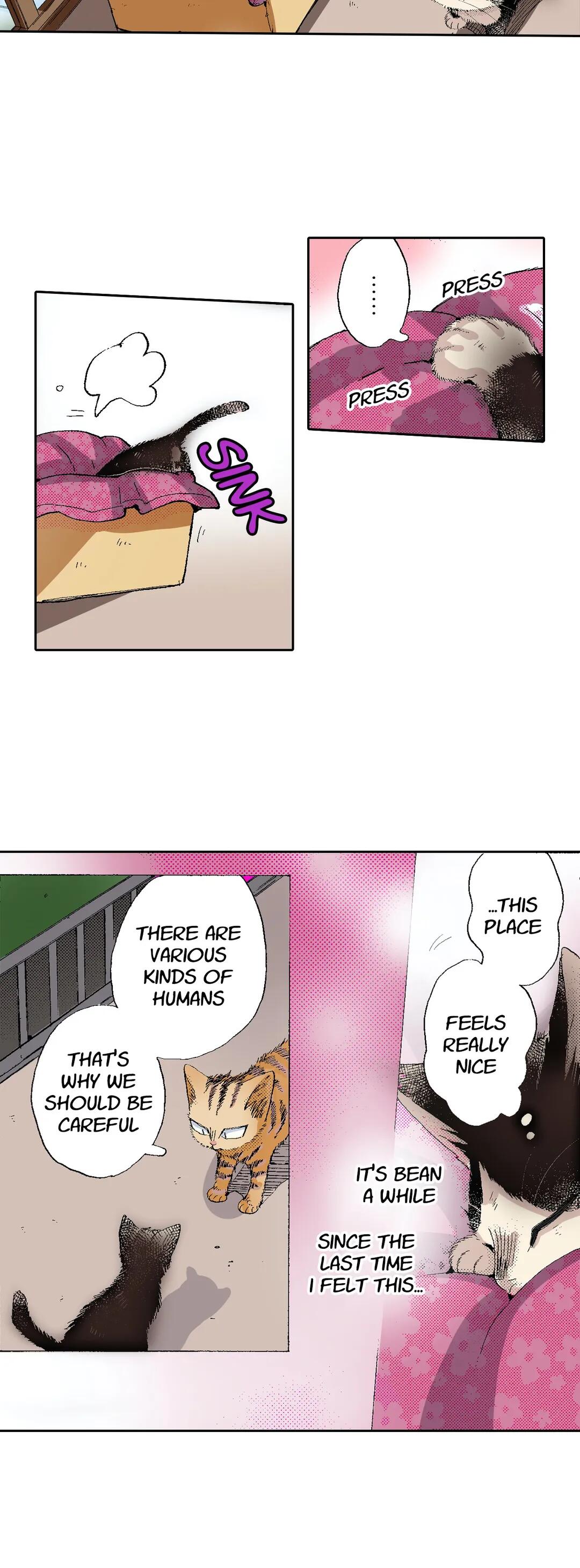 Page 15 of Chapter 53