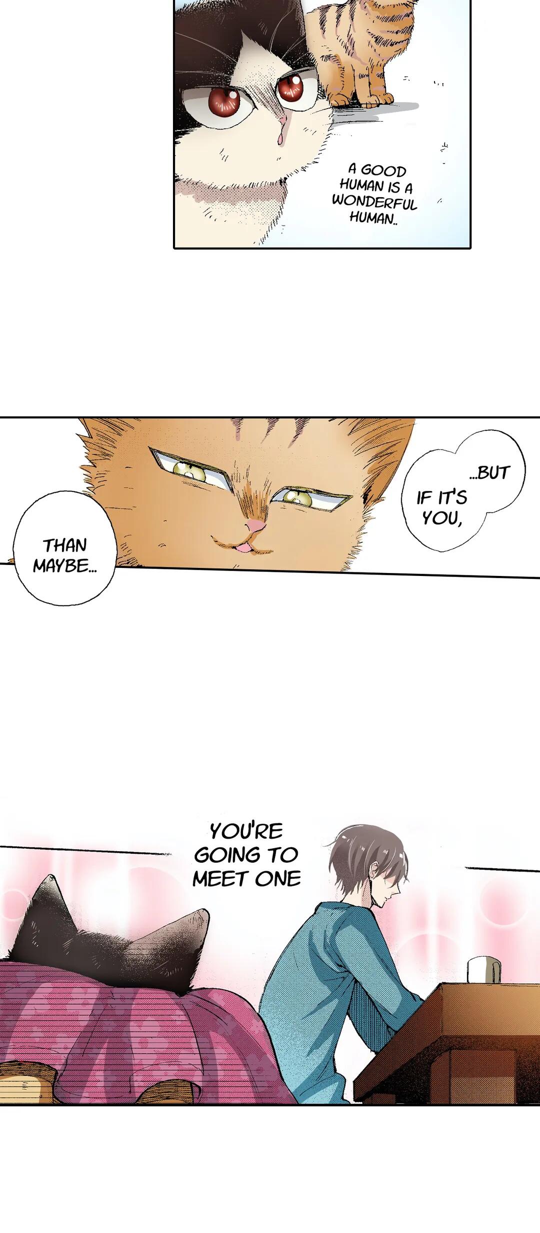 Page 17 of Chapter 53