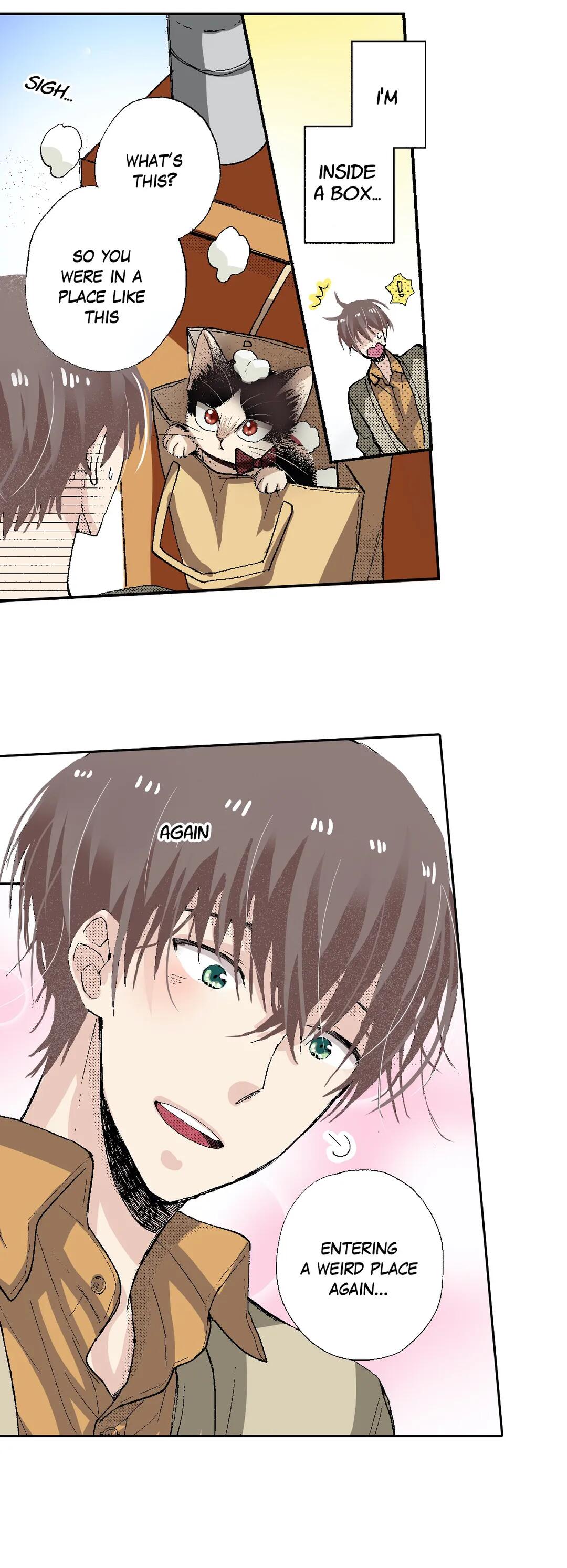 Page 25 of Chapter 53