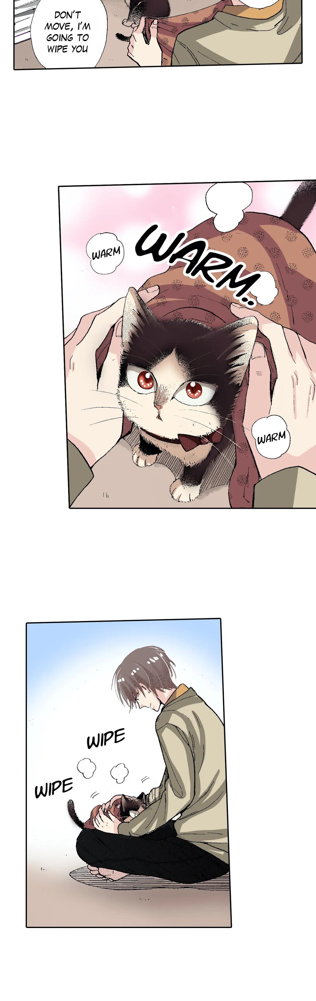 Page 27 of Chapter 53