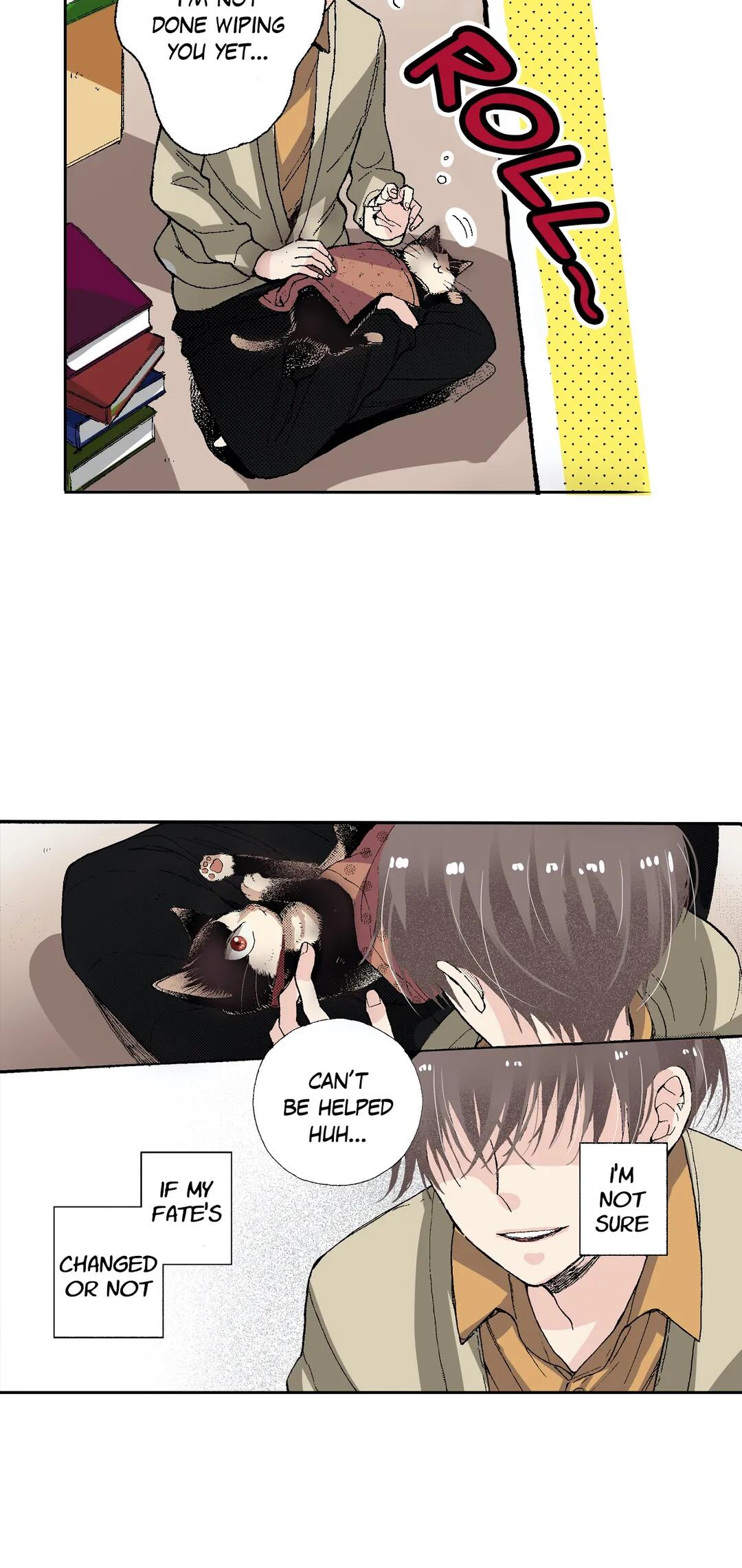 Page 29 of Chapter 53