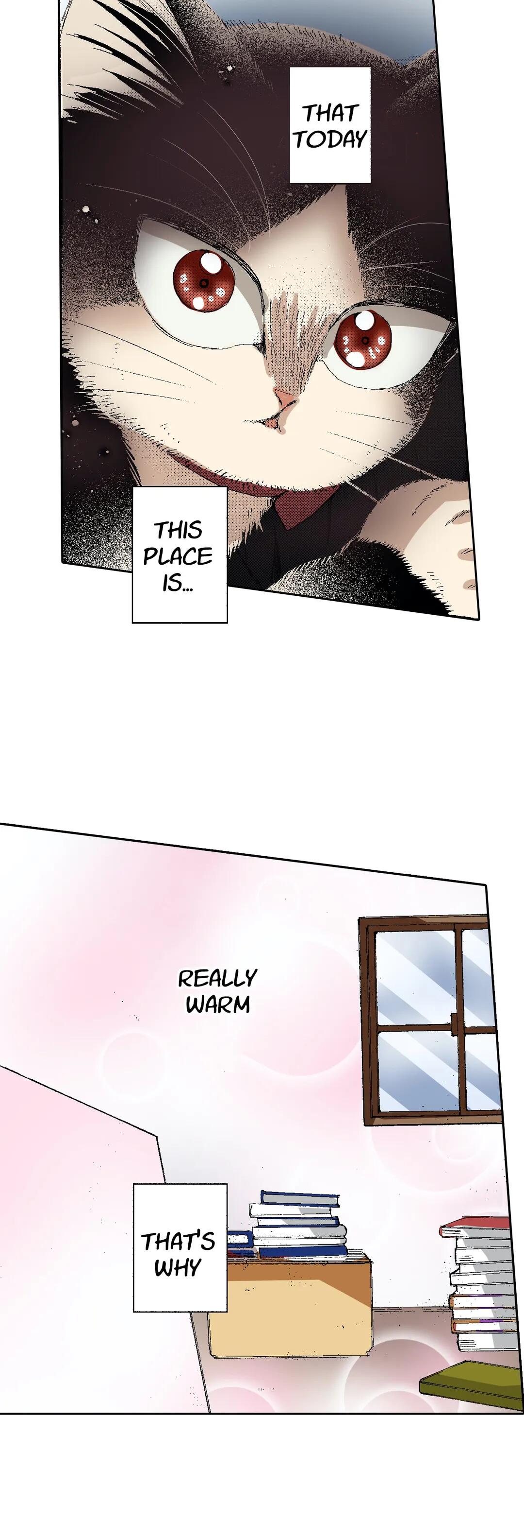 Page 31 of Chapter 53