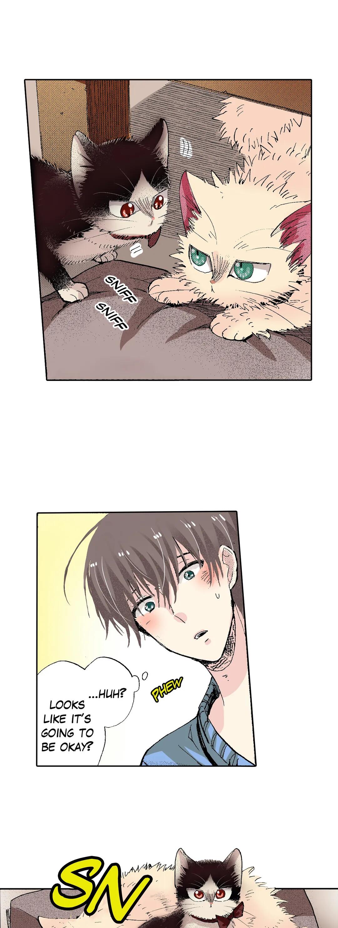 Page 11 of Chapter 54