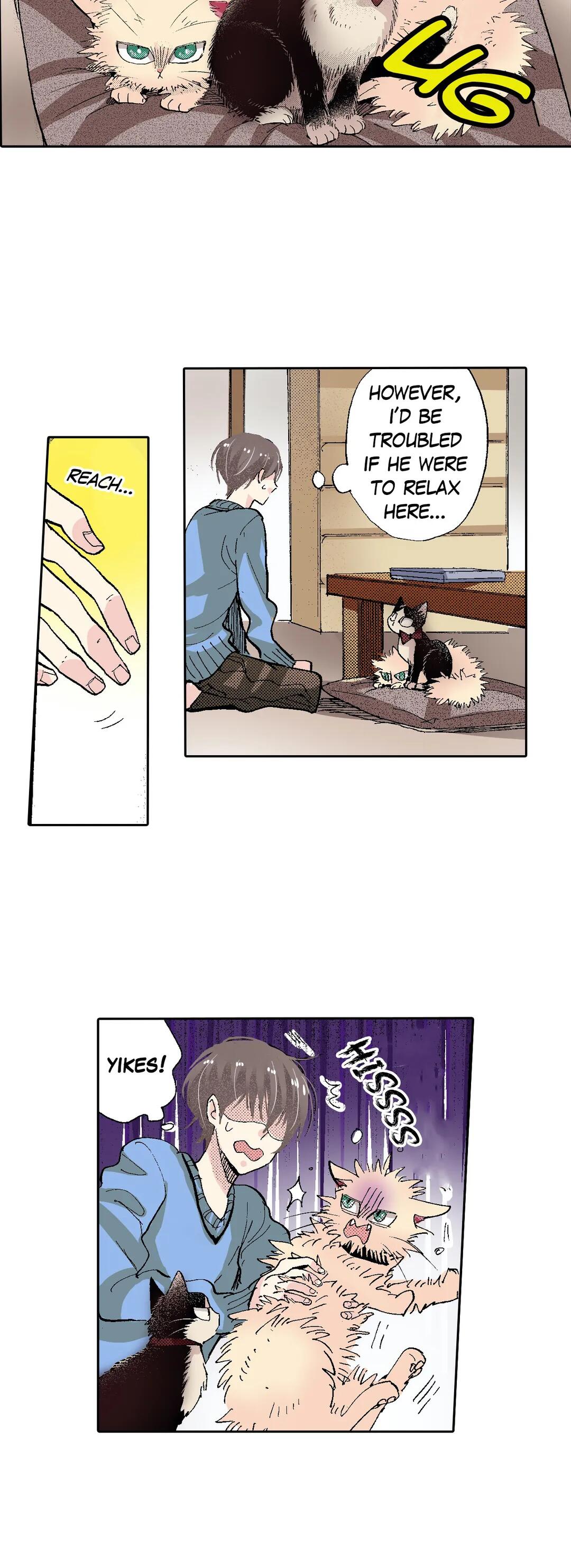 Page 12 of Chapter 54