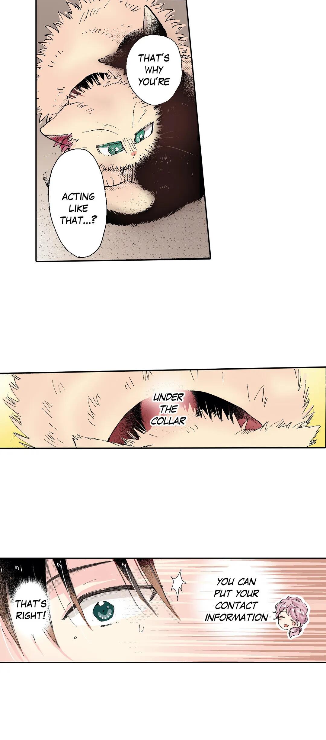 Page 18 of Chapter 54
