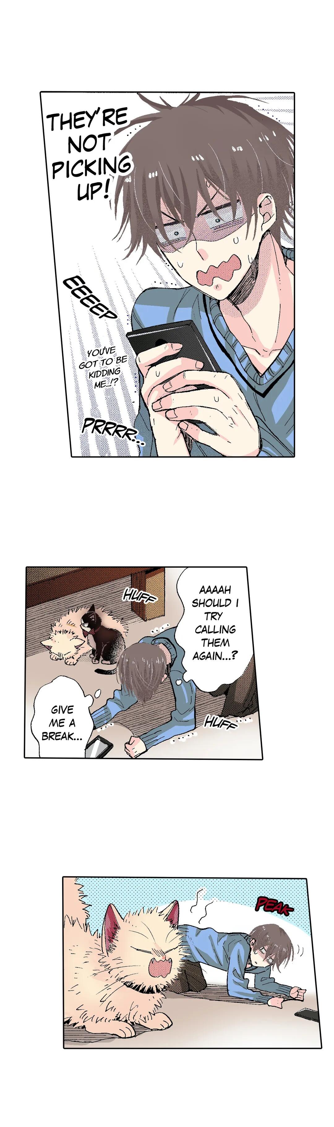 Page 20 of Chapter 54