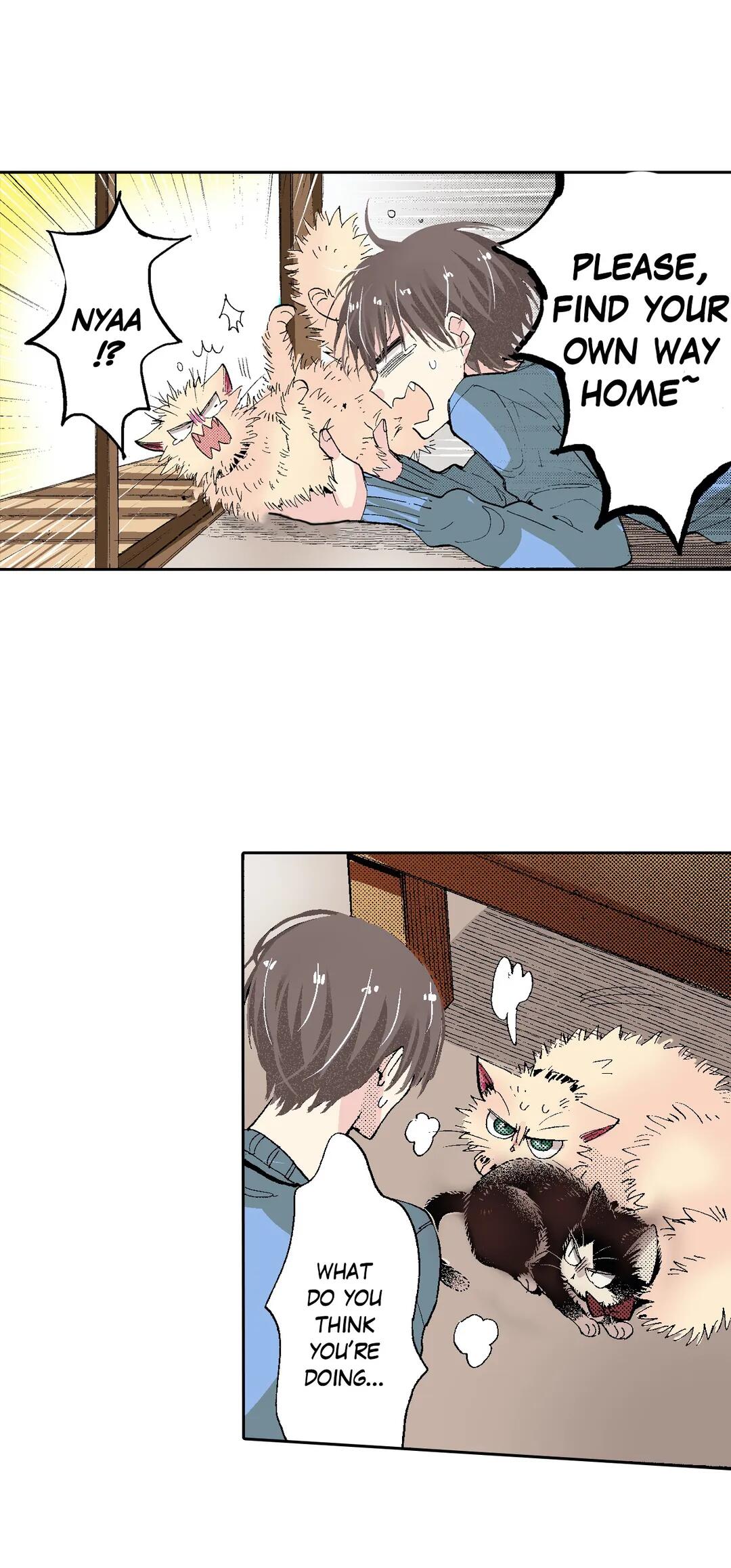 Page 21 of Chapter 54