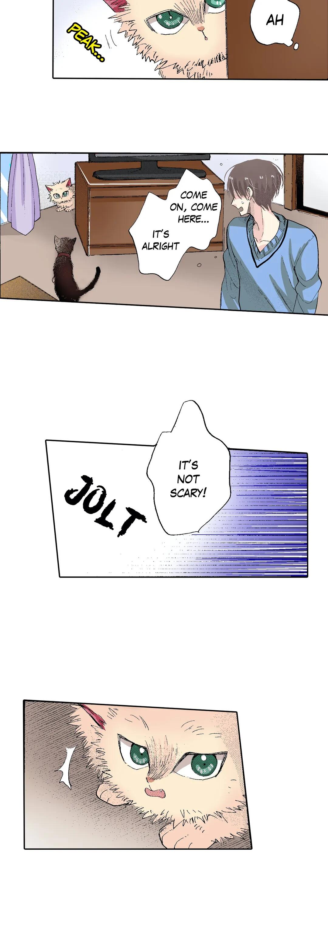Page 28 of Chapter 54