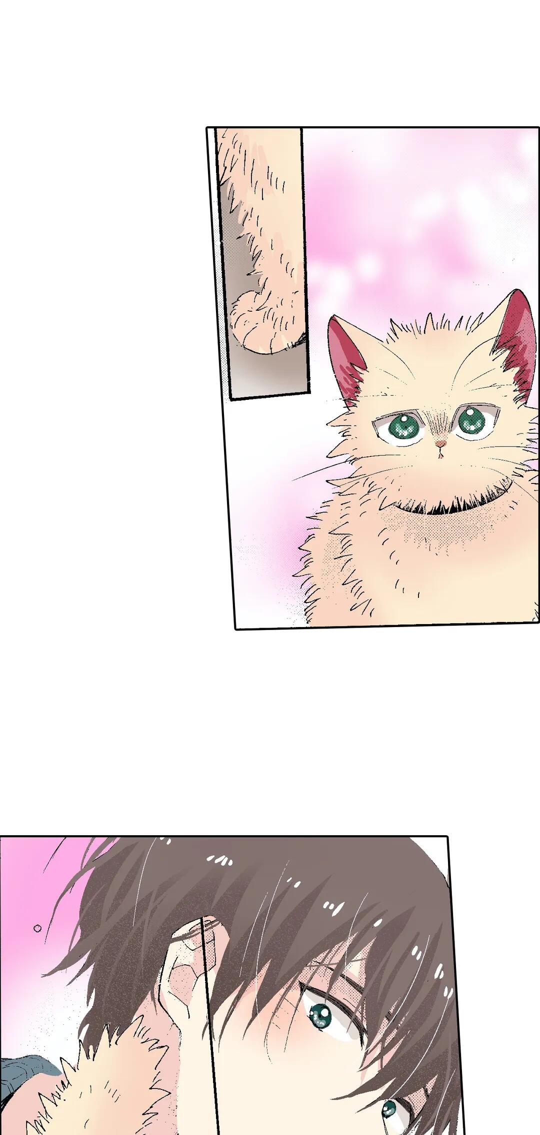 Page 31 of Chapter 54