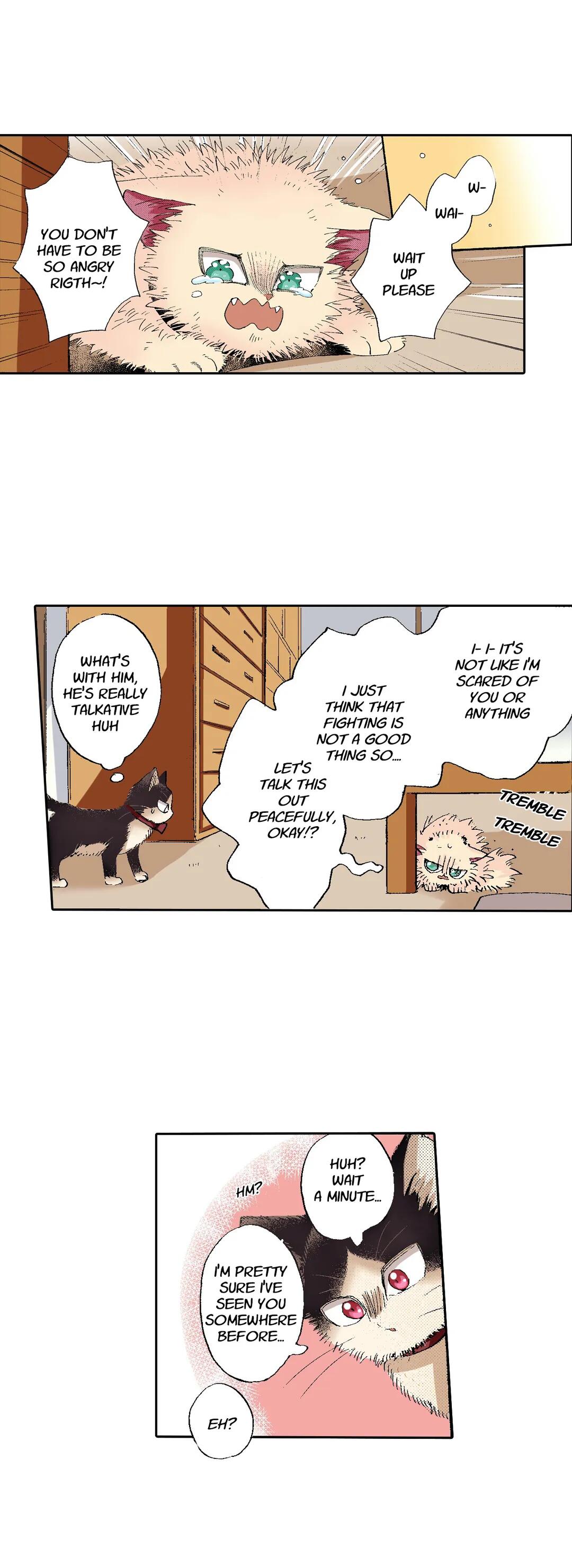 Page 5 of Chapter 55