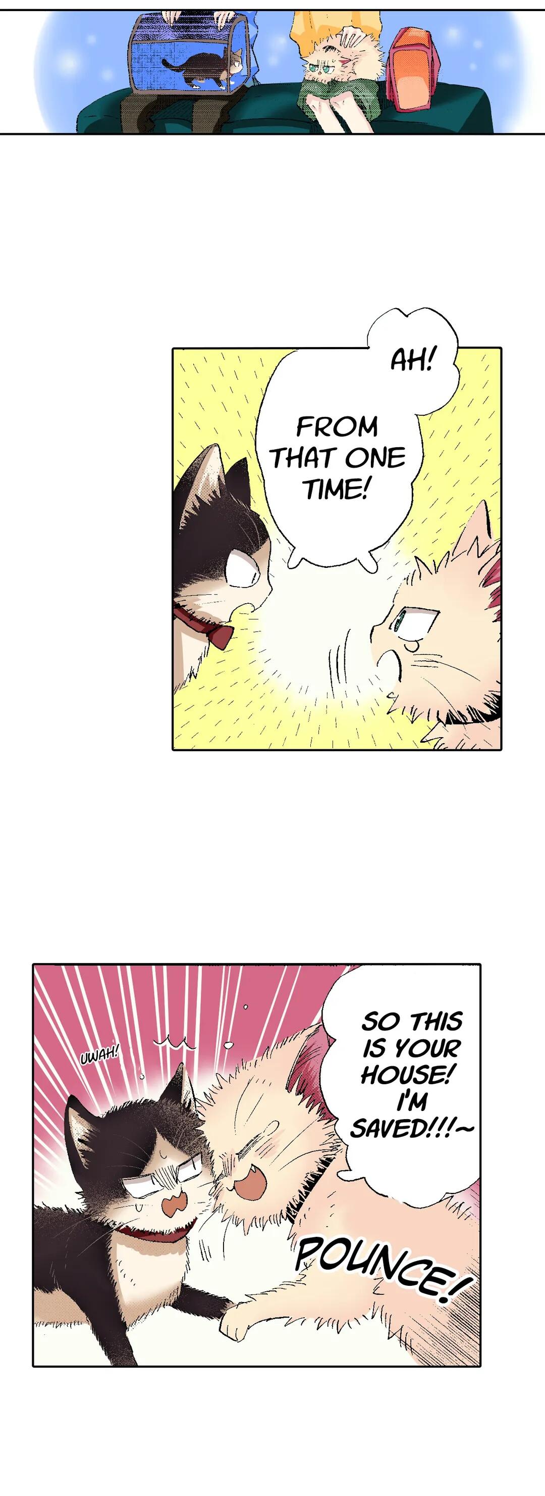 Page 6 of Chapter 55