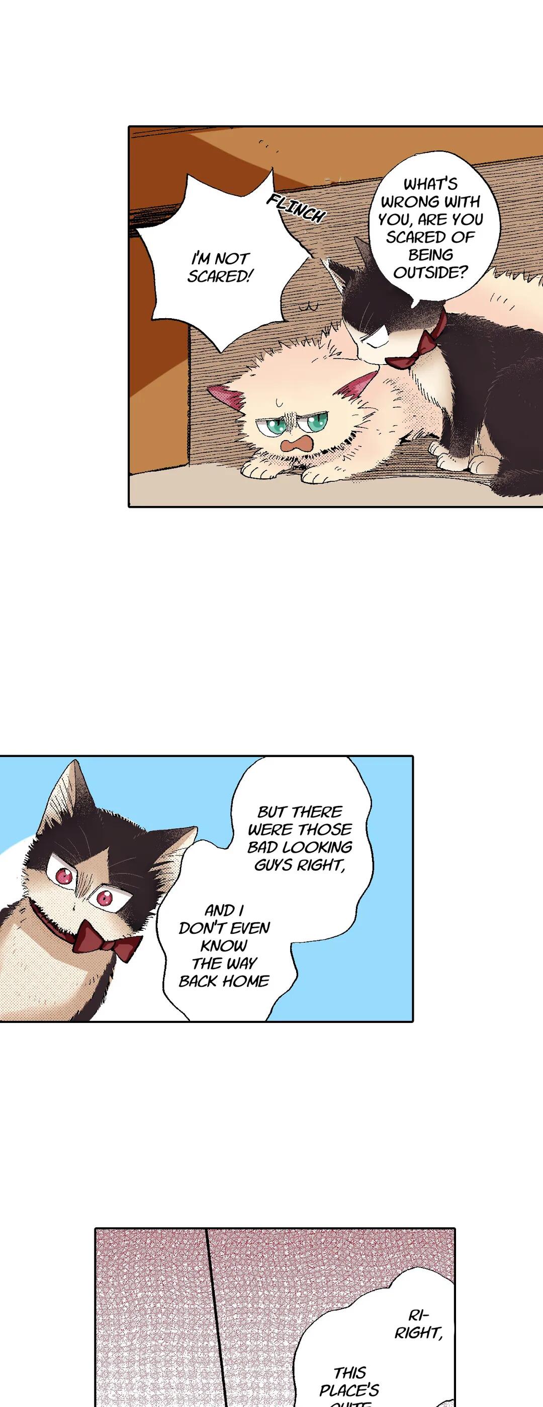 Page 11 of Chapter 55
