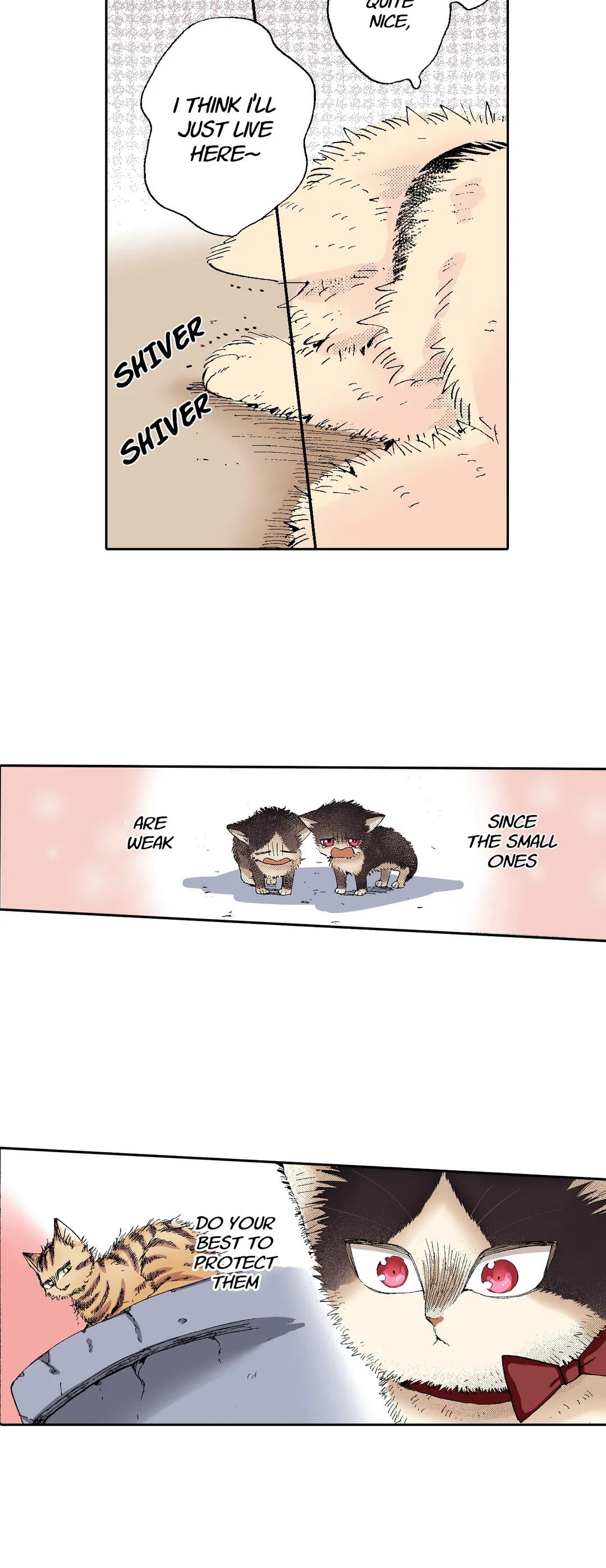 Page 12 of Chapter 55