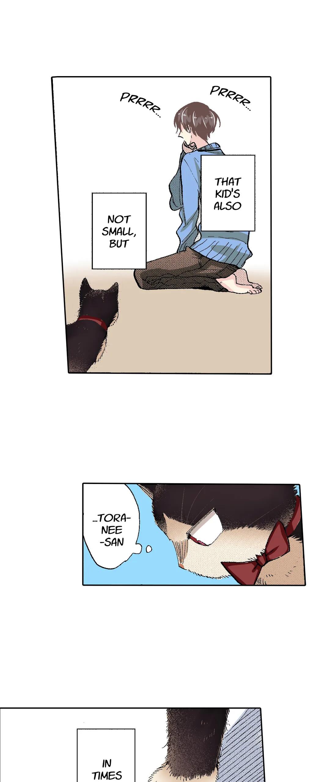 Page 13 of Chapter 55