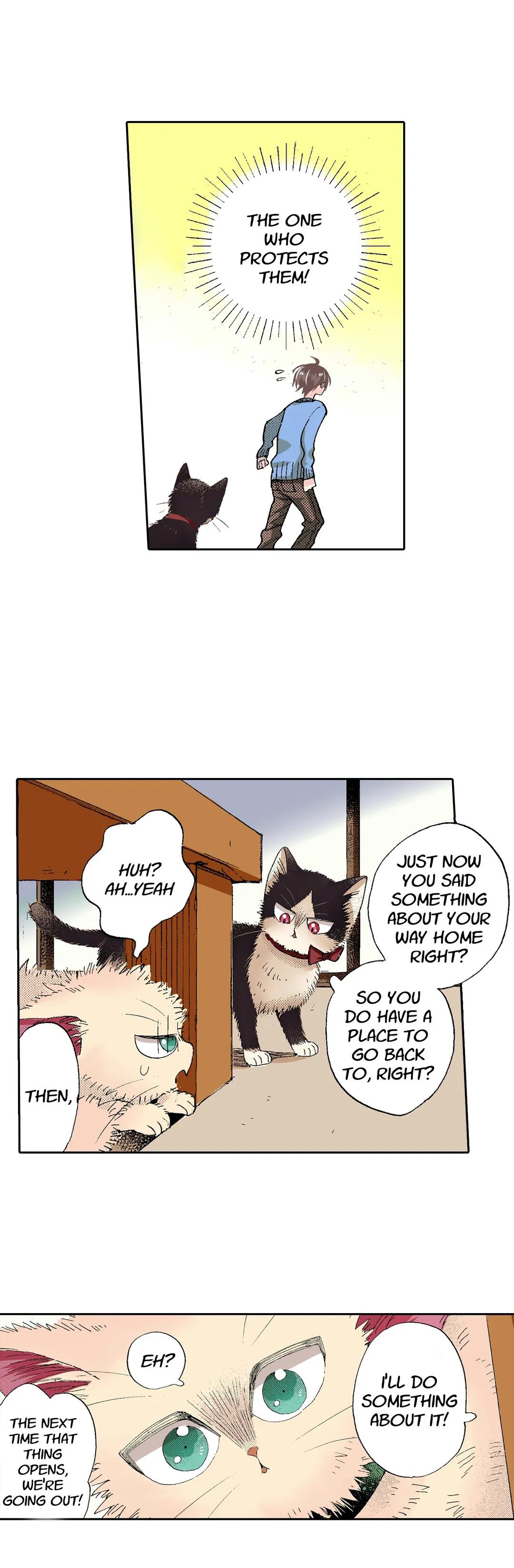 Page 15 of Chapter 55