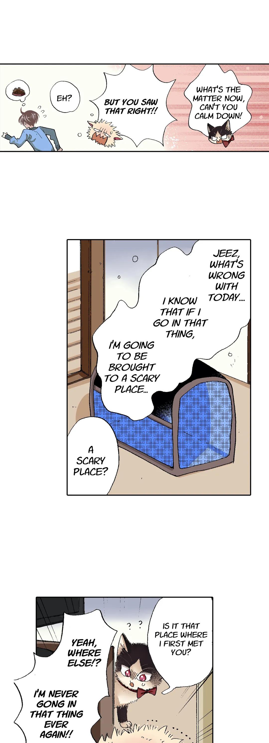 Page 17 of Chapter 55