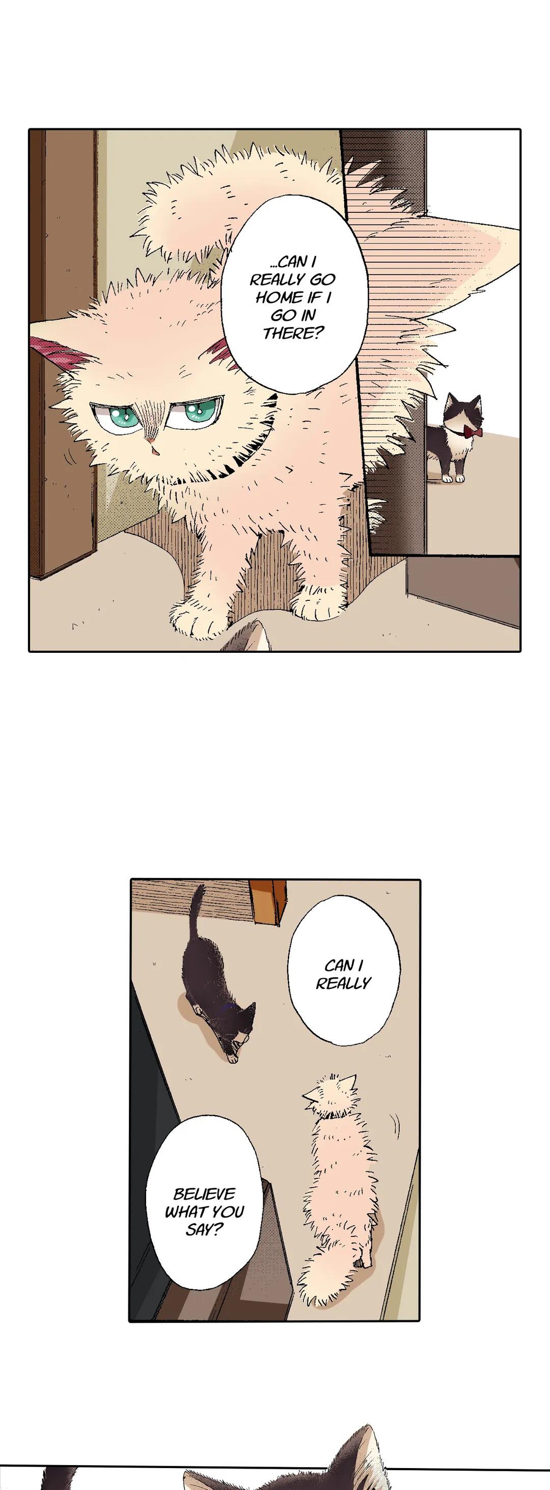 Page 23 of Chapter 55