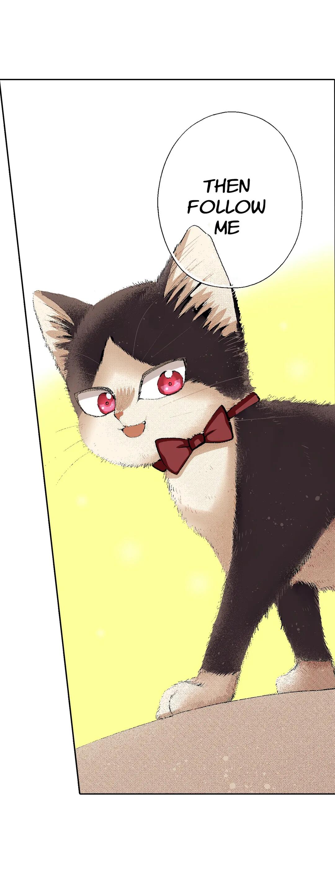 Page 25 of Chapter 55
