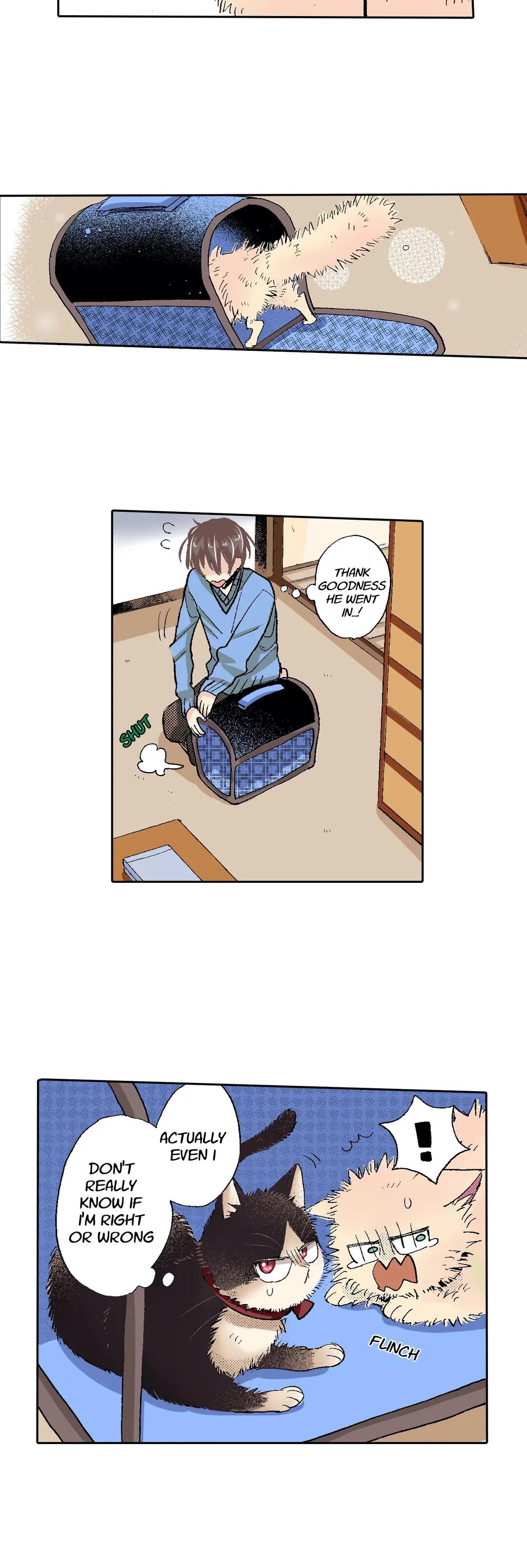 Page 28 of Chapter 55