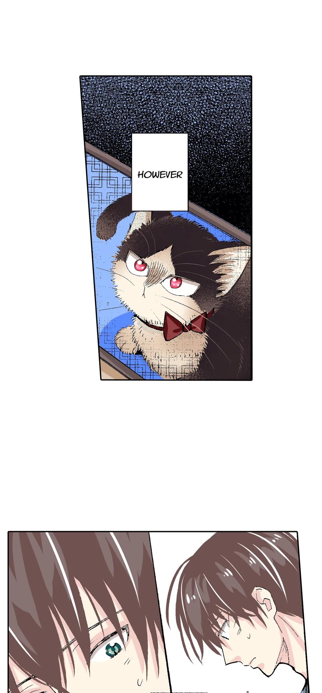 Page 29 of Chapter 55