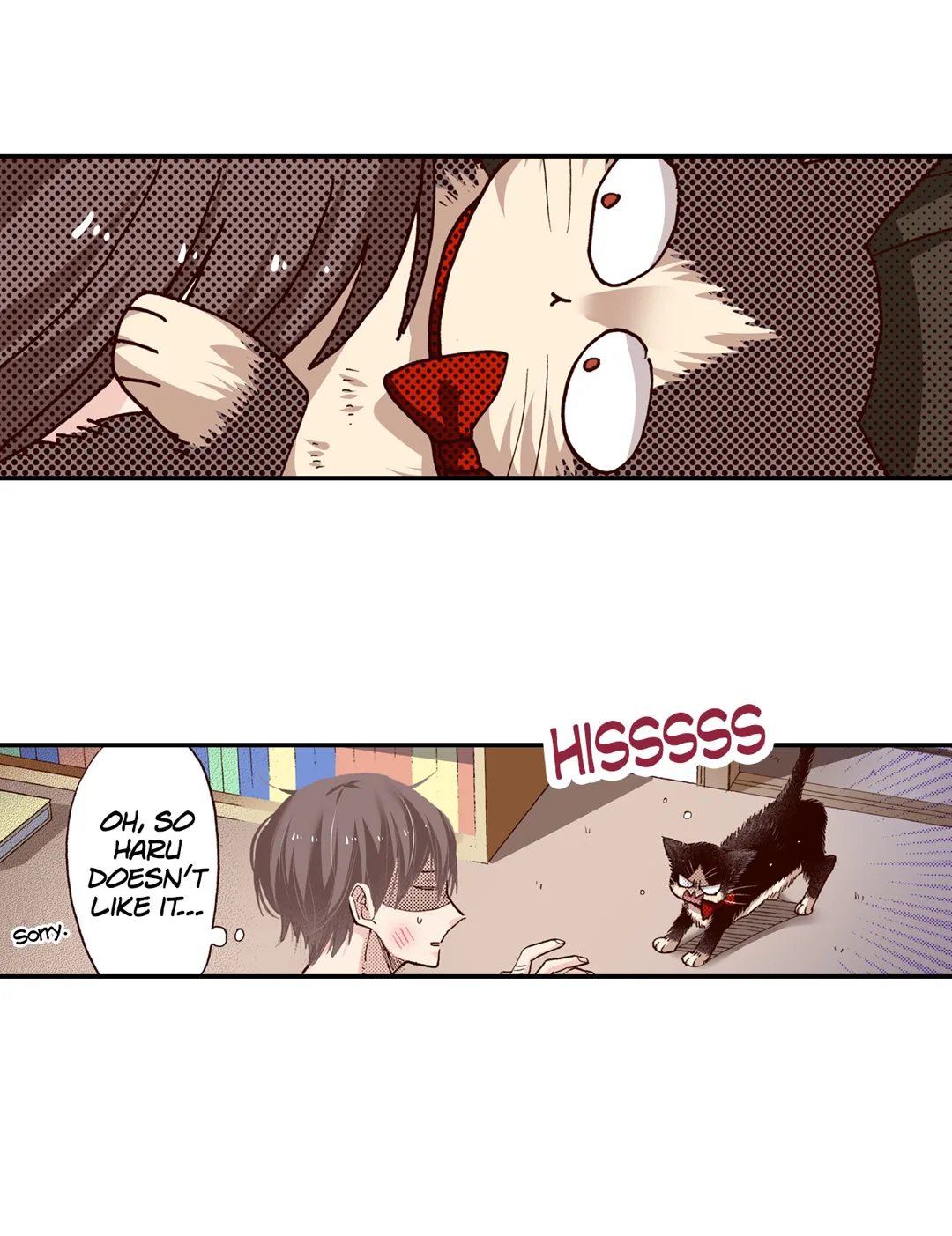 Page 27 of Chapter 58