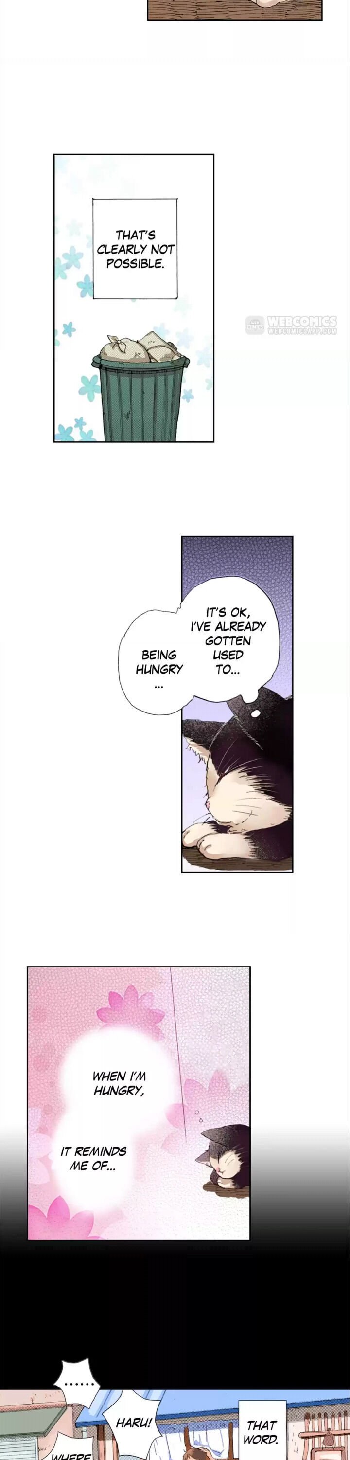 Page 4 of Chapter 6