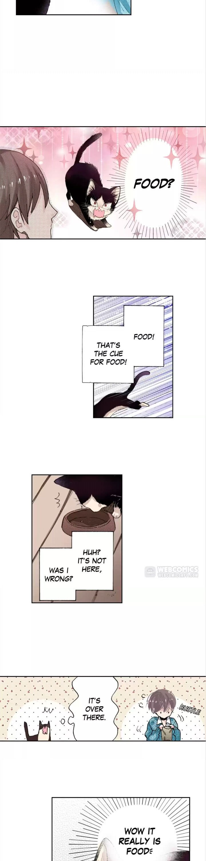 Page 11 of Chapter 6