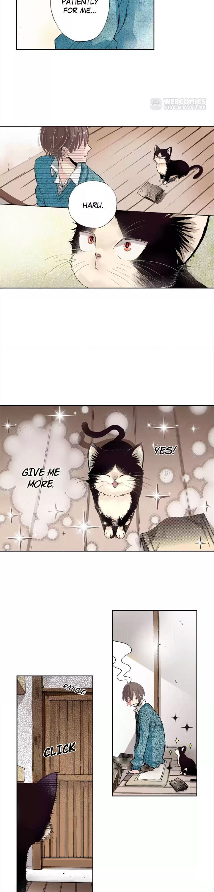 Page 13 of Chapter 6