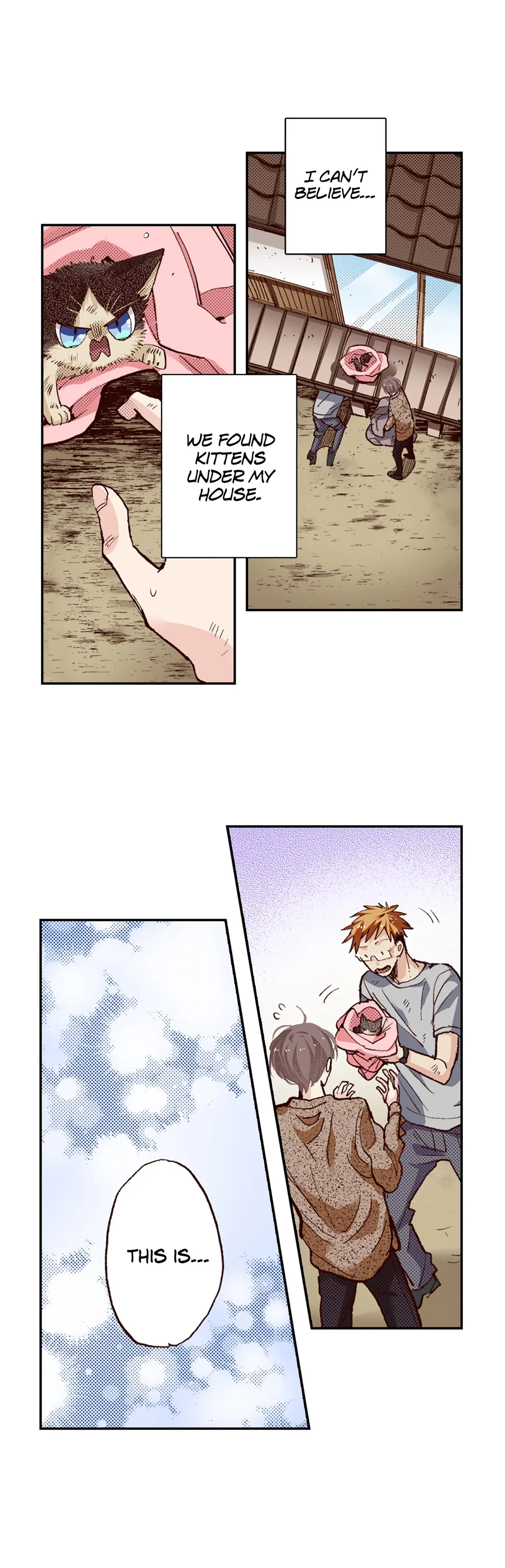 Page 12 of Chapter 61