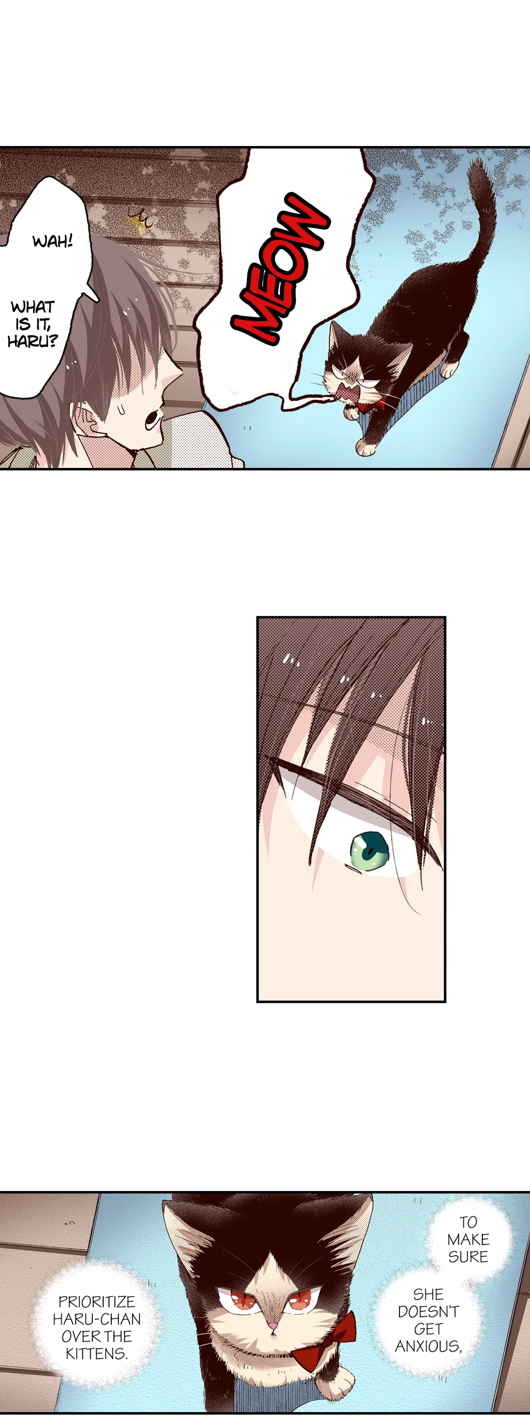 Page 11 of Chapter 62