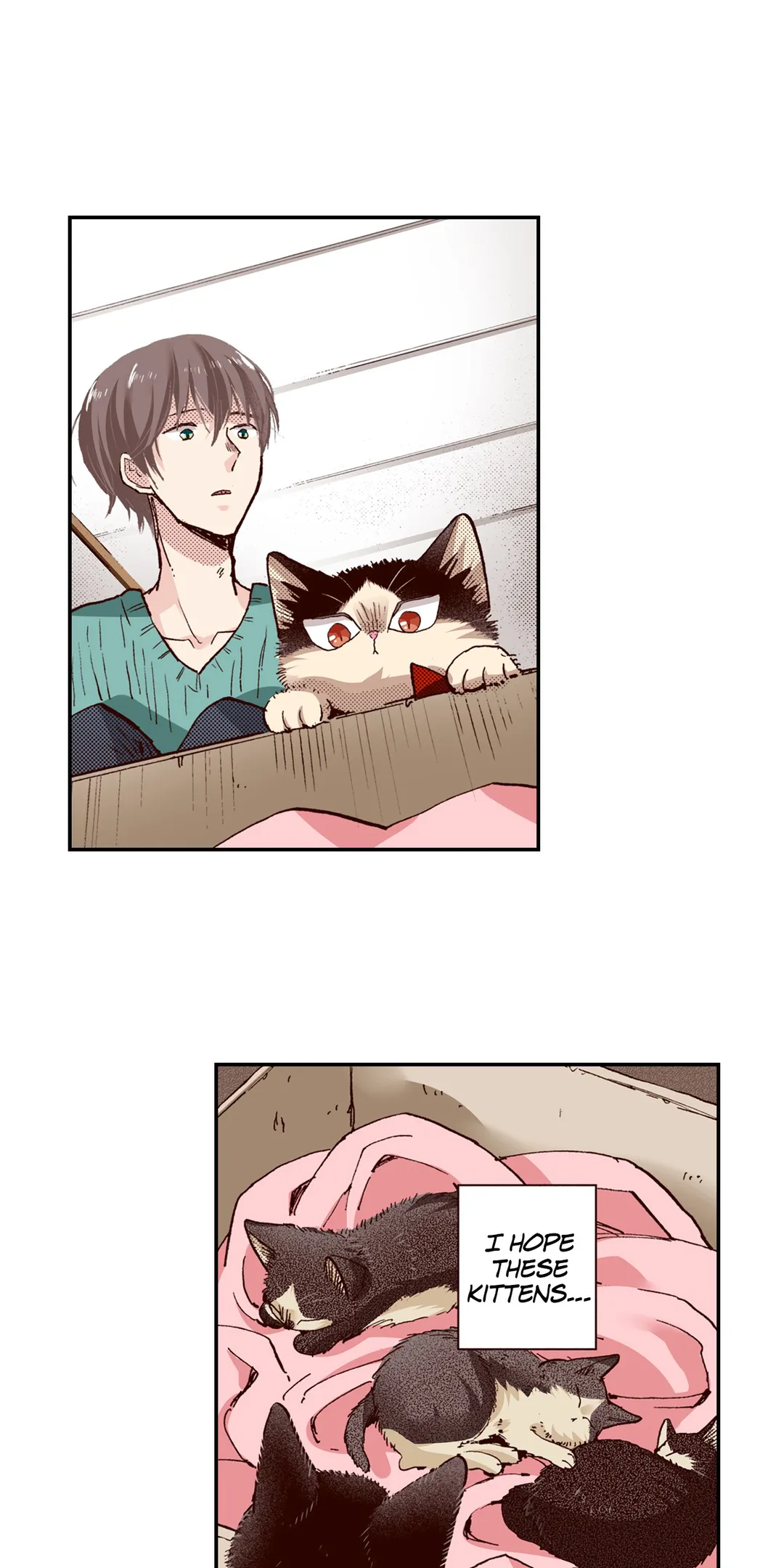 Page 13 of Chapter 64