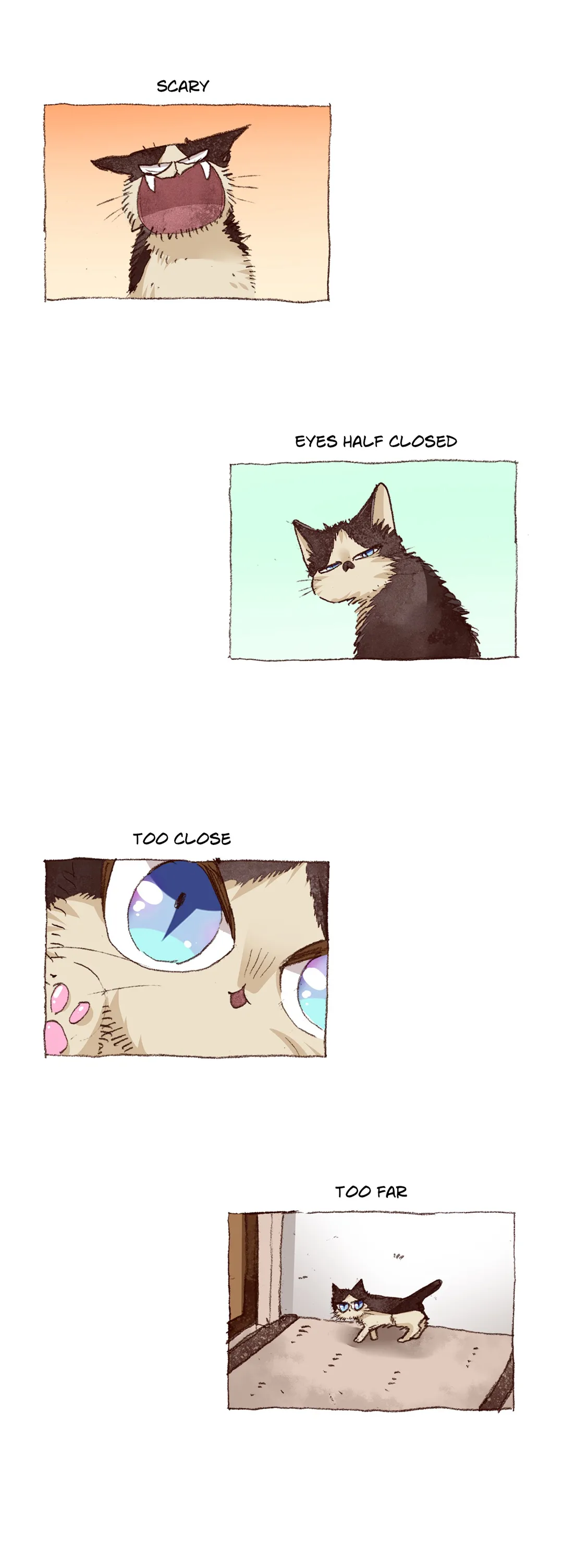 Page 19 of Chapter 64