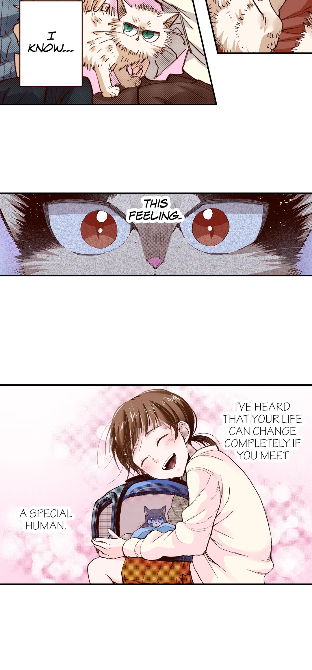 Page 5 of Chapter 66