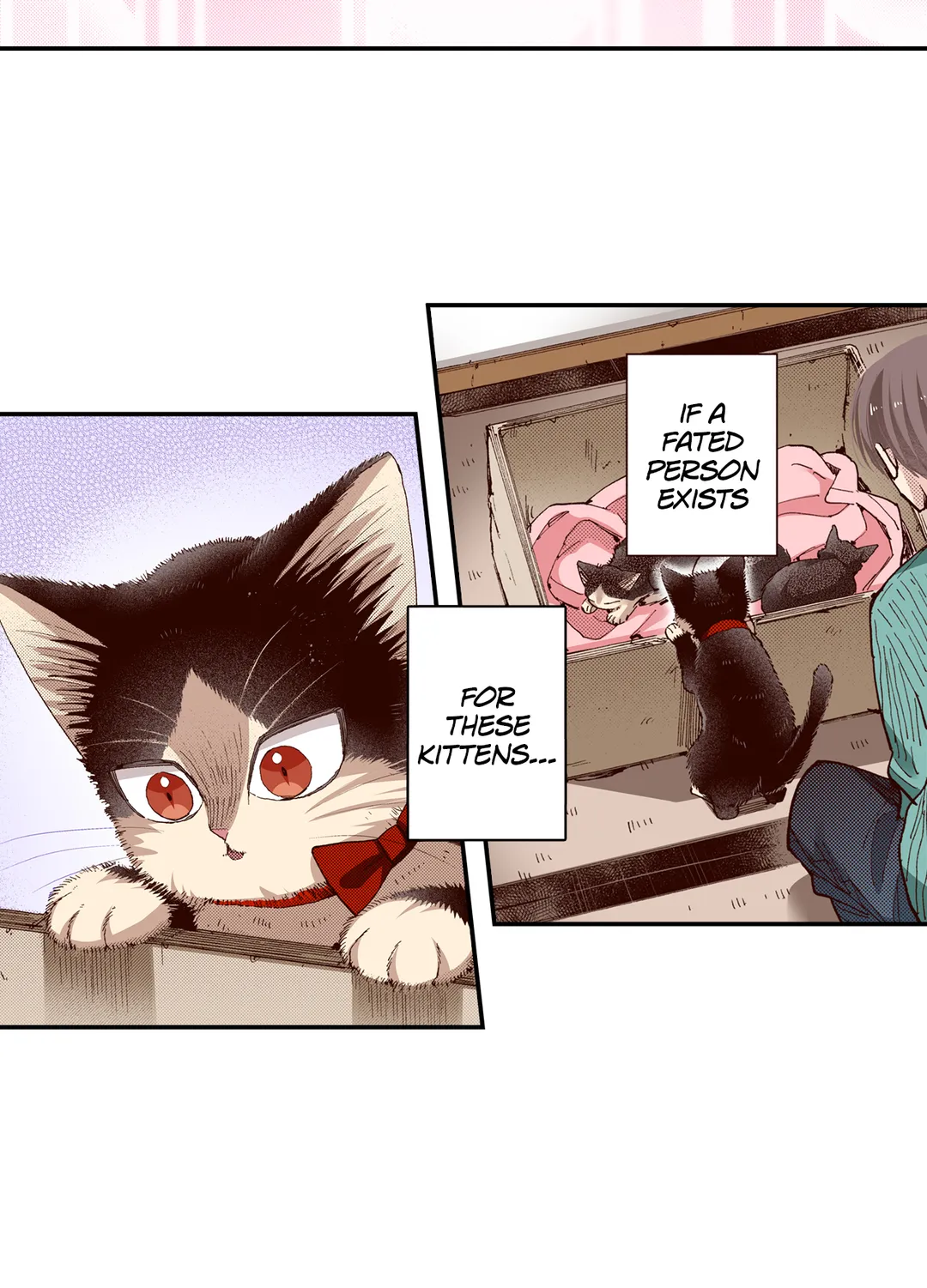 Page 15 of Chapter 66