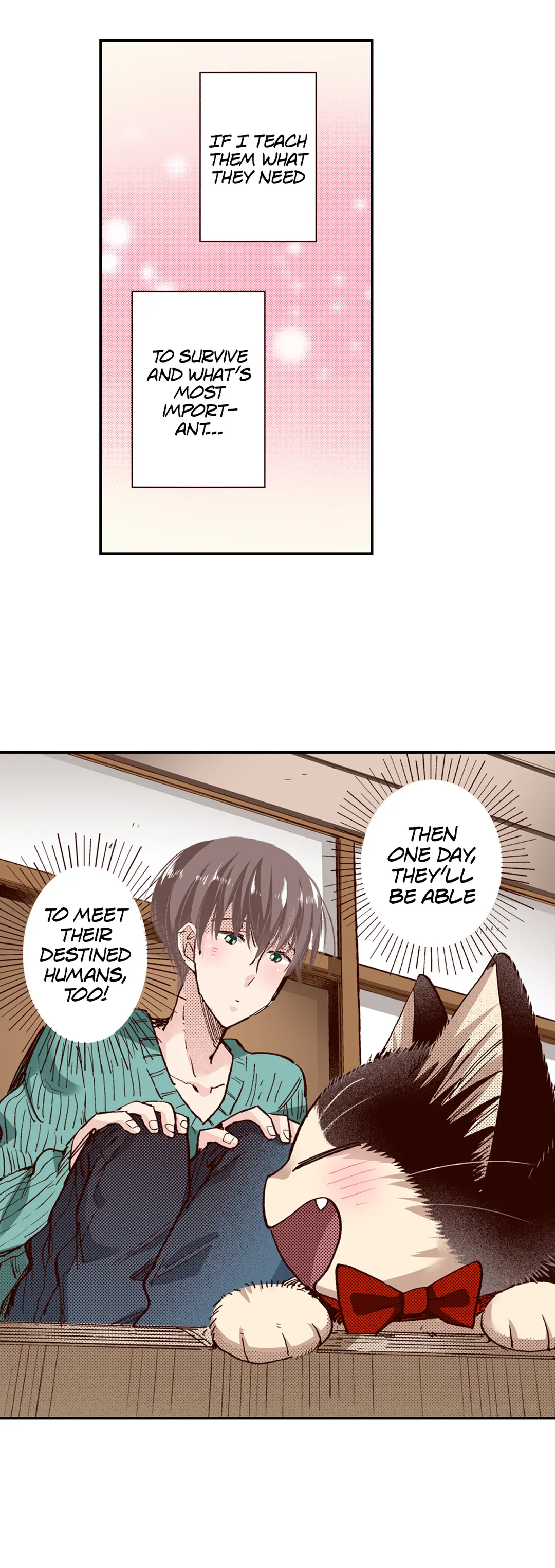 Page 17 of Chapter 66