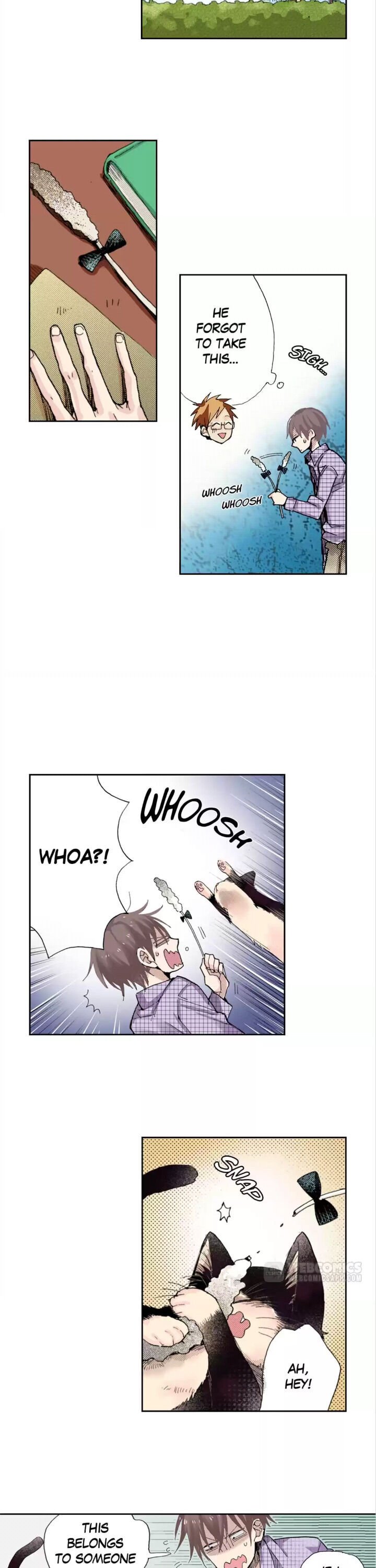Page 5 of Chapter 8