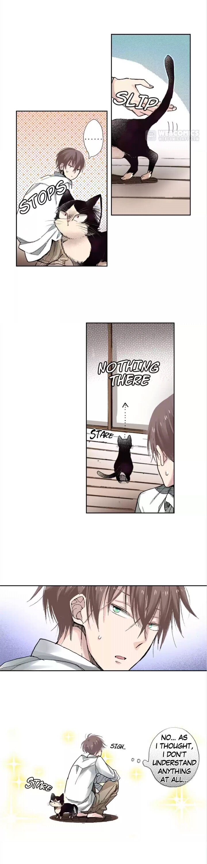 Page 13 of Chapter 8