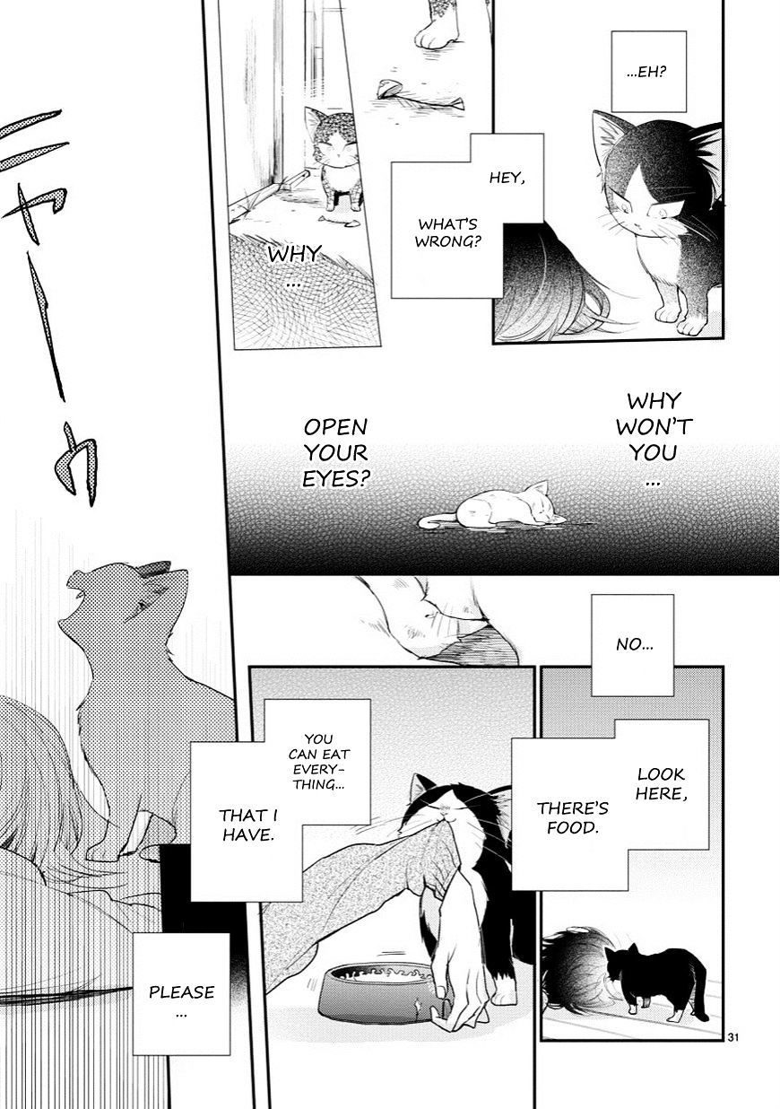 Page 31 of Chapter 1