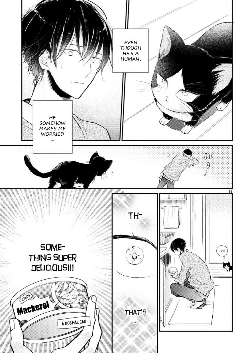 Page 35 of Chapter 1