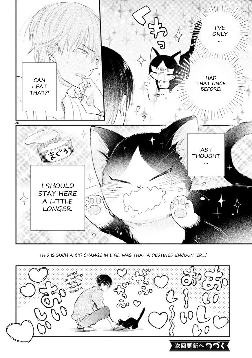 Page 36 of Chapter 1