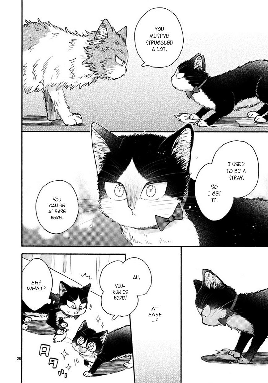 Page 5 of Chapter 10.5