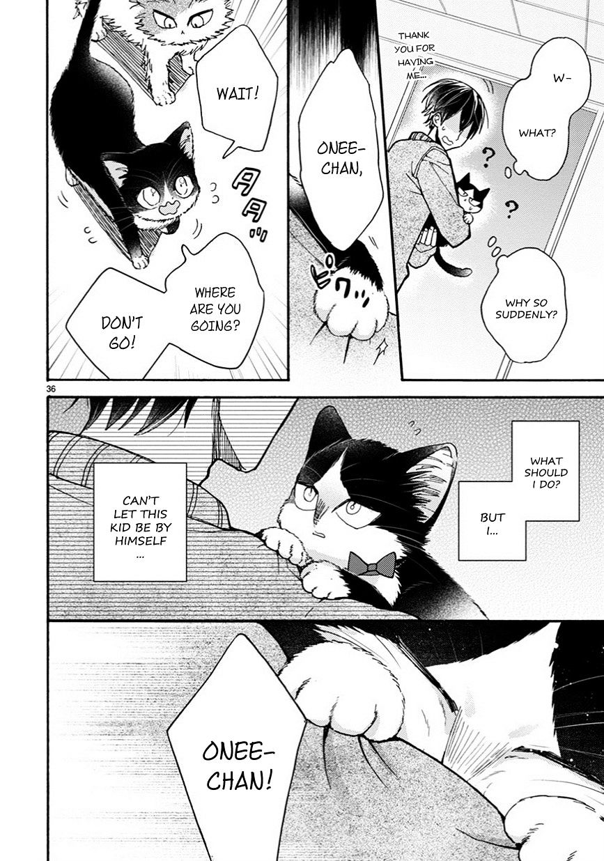 Page 13 of Chapter 10.5