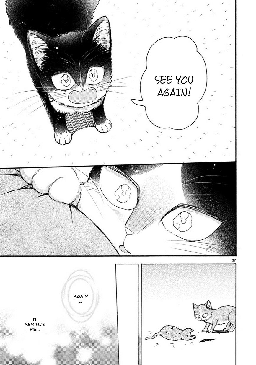 Page 14 of Chapter 10.5