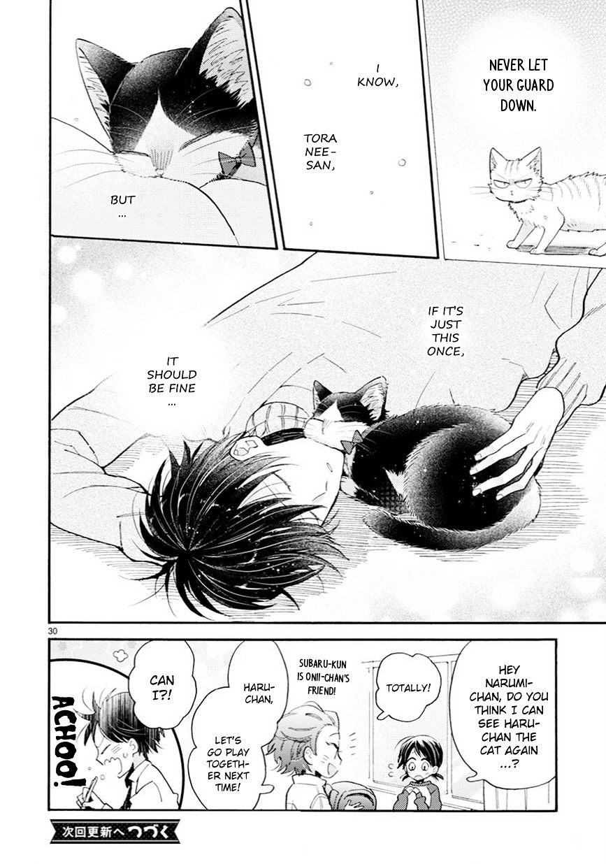 Page 13 of Chapter 11.5