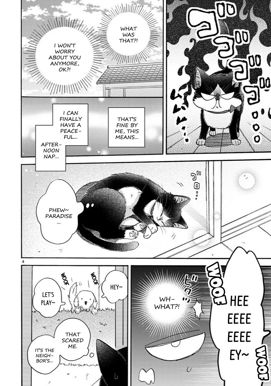 Page 5 of Chapter 12