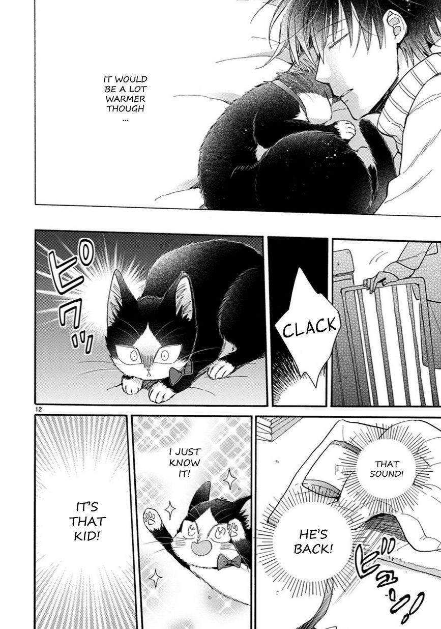 Page 13 of Chapter 12
