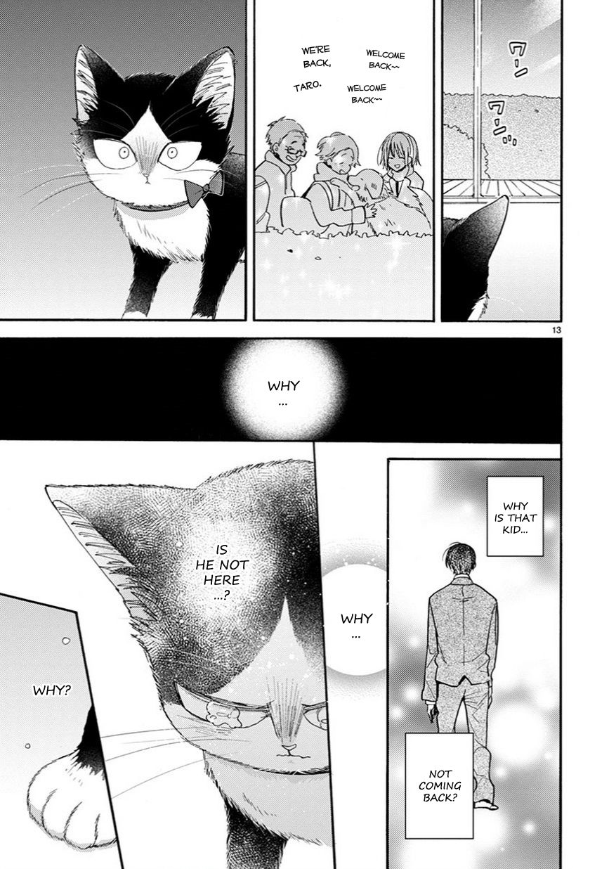 Page 14 of Chapter 12