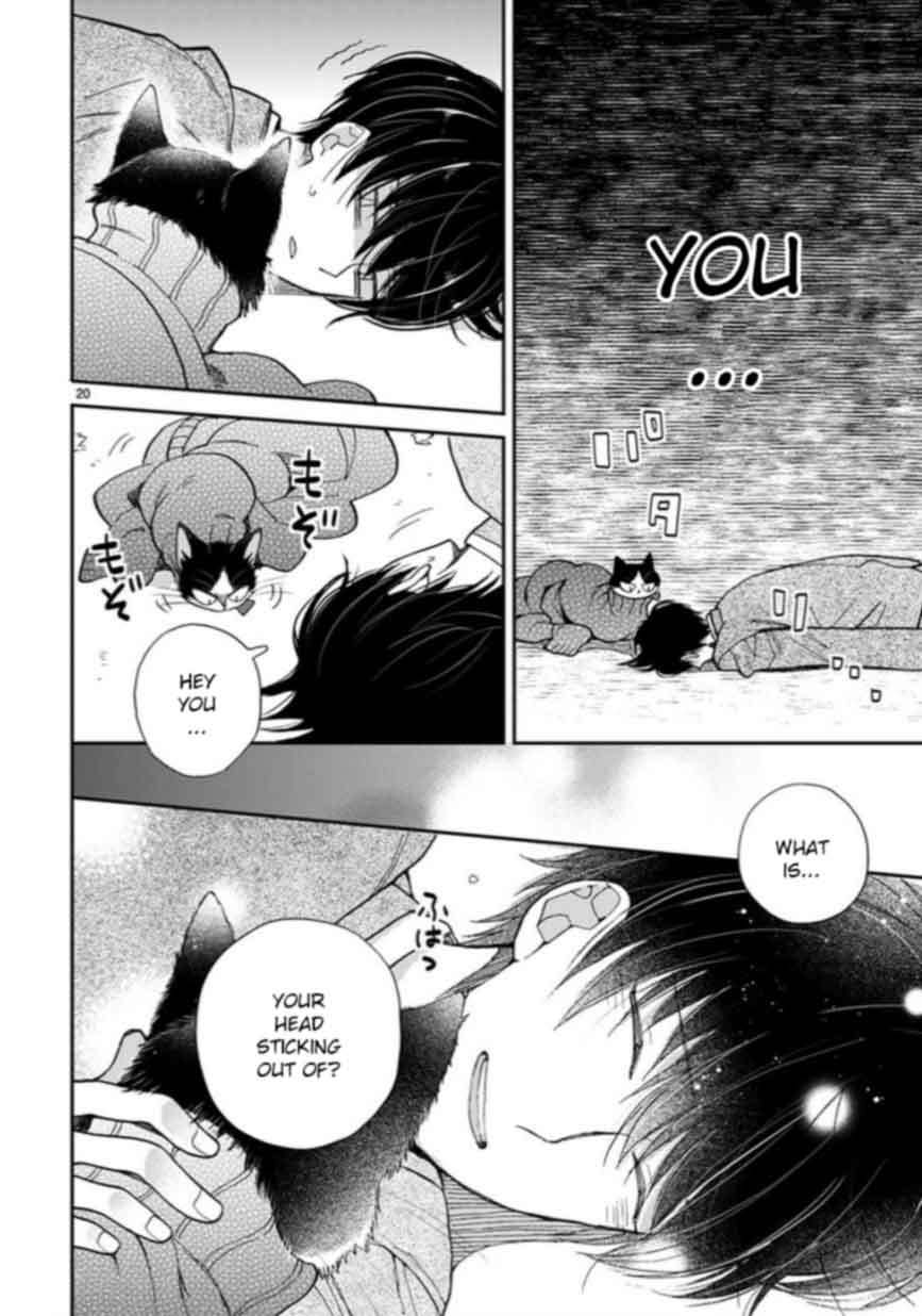 Page 20 of Chapter 13