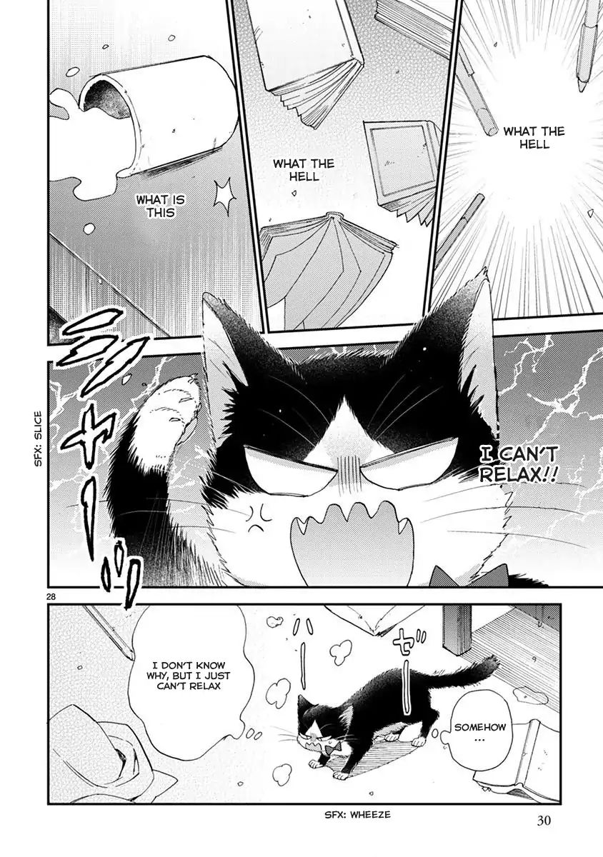 Page 3 of Chapter 13.1